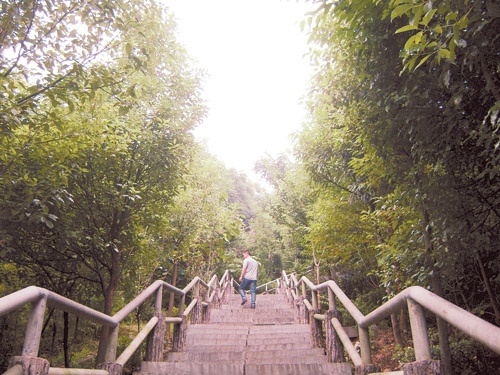 10 Million Yuan Invested on Construction of Luoxianling Ecological Park in Beihu District