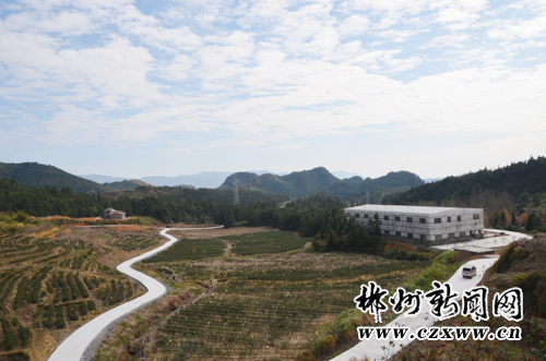 Rucheng Places 75 Million Yuan on Rulian Tea Garde