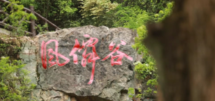 Fengxian Valley to open