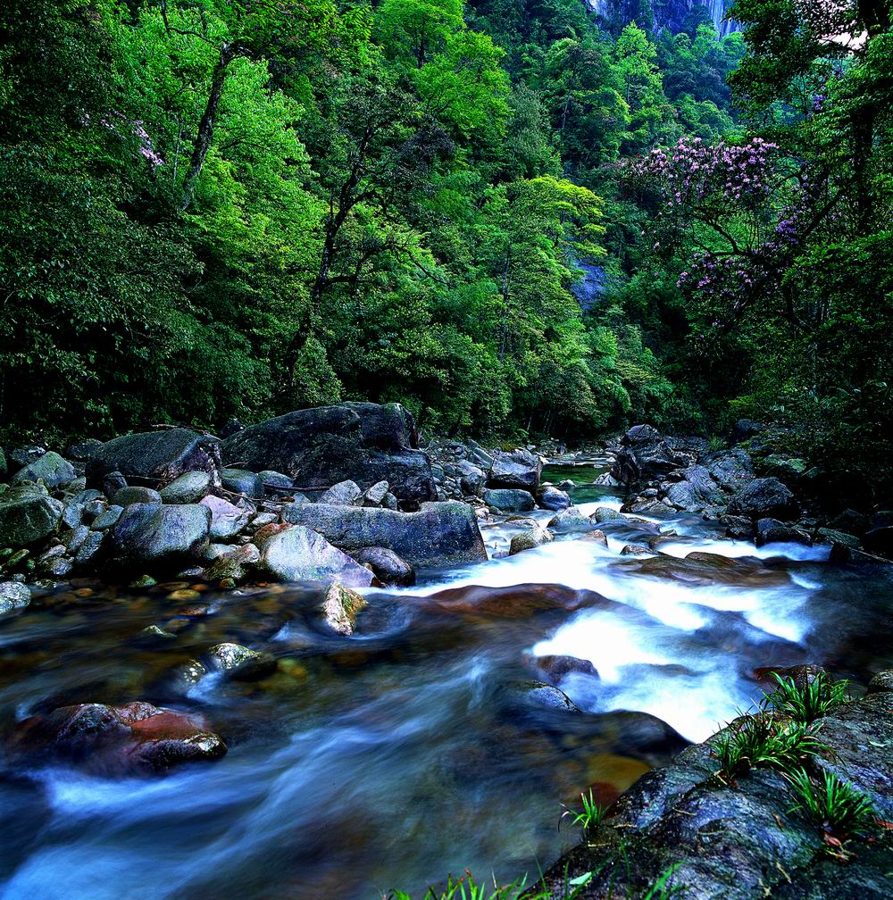 高山流水.jpg